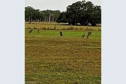 2687 Old Lakeport Rd, Moore Haven, FL 33471 - Photo 27