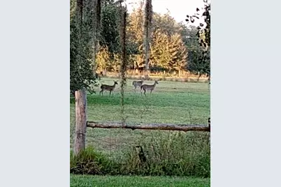 2687 Old Lakeport Rd, Moore Haven, FL 33471 - Photo 25