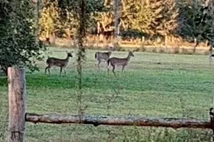 2687 Old Lakeport Rd, Moore Haven, FL 33471 - Photo 25