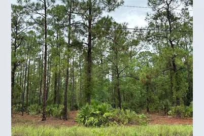 1103 Thompson Ave, Lehigh Acres, FL 33972 - Photo 5