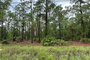 1103 Thompson Ave, Lehigh Acres, FL 33972 - Photo 7