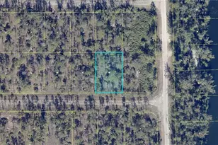 302 Spokane Ave, Lehigh Acres, FL 33972 - Photo 3