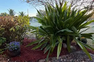 6300 South Pointe Blvd, Fort Myers, FL 33919 - Photo 3