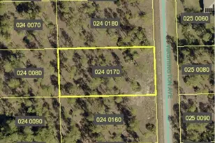 1009 Washington Ave, Lehigh Acres, FL 33972 - Photo 21