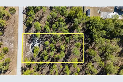 1009 Washington Ave, Lehigh Acres, FL 33972 - Photo 3