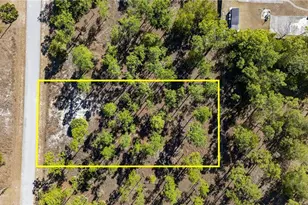 1009 Washington Ave, Lehigh Acres, FL 33972 - Photo 3