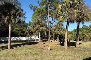 519 Hibiscus Ave, Lehigh Acres, FL 33972 - Photo 7