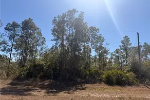 325/327 Greenbriar Blvd, Lehigh Acres, FL 33972 - Photo 3