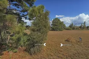 1015 NW 23rd Ave, Cape Coral, FL 33993 - Photo 1