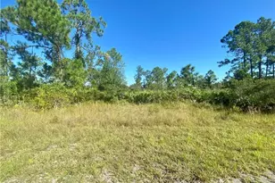 2178 Winnetka Dr, Lehigh Acres, FL 33972 - Photo 3