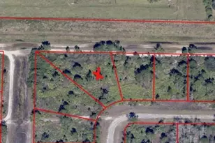 2178 Winnetka Dr, Lehigh Acres, FL 33972 - Photo 11