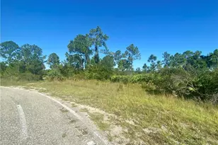 2178 Winnetka Dr, Lehigh Acres, FL 33972 - Photo 9