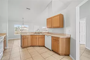 18231 Beauty Berry Ct, Lehigh Acres, FL 33972 - Photo 11