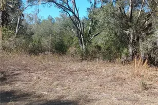 8177 W Elaine St, Crystal River, FL 34428 - Photo 1