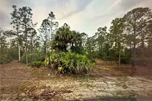 1413 Sheldon Ave, Lehigh Acres, FL 33972 - Photo 1