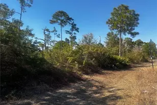 511 Penton Ave S, Lehigh Acres, FL 33974 - Photo 5