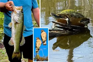 14593 Aeries Way Dr, Fort Myers, FL 33912 - Photo 5