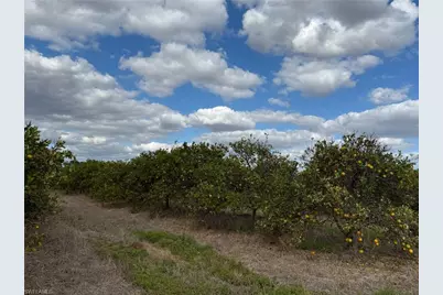 6380 + 6340 6th Rd, Labelle, FL 33935 - Photo 5