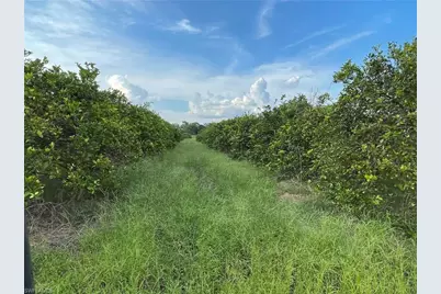 6380 + 6340 6th Rd, Labelle, FL 33935 - Photo 3
