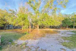 6850 Carmelita Dr, Fort Myers, FL 33905 - Photo 33