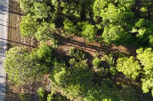 1251 Bermar St, Fort Myers, FL 33913 - Photo 9