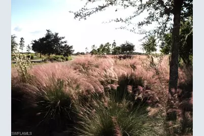 3341 Chestnut Grove Dr, Alva, FL 33920 - Photo 47