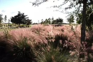 3341 Chestnut Grove Dr, Alva, FL 33920 - Photo 47