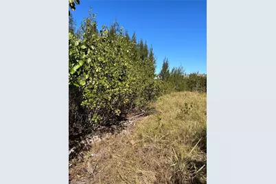 3500 Tropical Point Dr, Other, FL 33956 - Photo 3