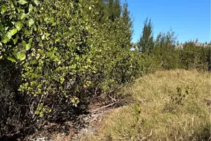 3500 Tropical Point Dr, Saint James City, FL 33956 - Photo 3