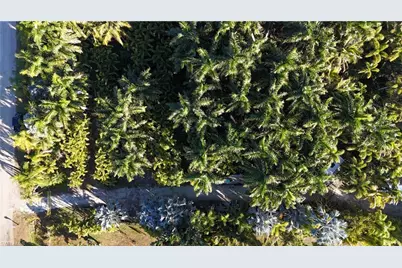 12434 Eagles Nest Dr, Bokeelia, FL 33922 - Photo 23