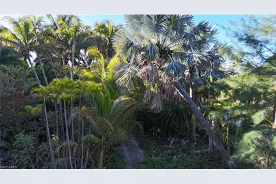 12434 Eagles Nest Dr, Bokeelia, FL 33922 - Photo 25