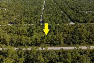 14142 Dunlap Ave, Port Charlotte, FL 33953 - Photo 1