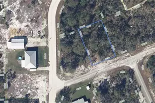 102 Edison Rd NE, Lake Placid, FL 33852 - Photo 1