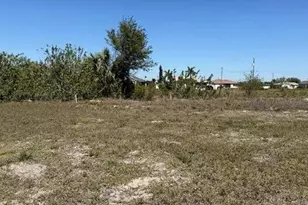 1139 NW 13th St, Cape Coral, FL 33993 - Photo 3