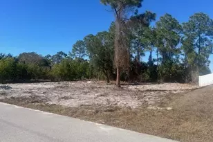 3316 25th St SW, Lehigh Acres, FL 33976 - Photo 1