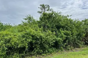 619 Clancy St E, Lehigh Acres, FL 33974 - Photo 3