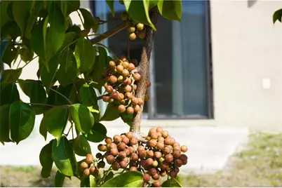 1314/1316 Country Club Blvd, Cape Coral, FL 33990 - Photo 25