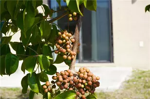 1314/1316 Country Club Blvd, Cape Coral, FL 33990 - Photo 25