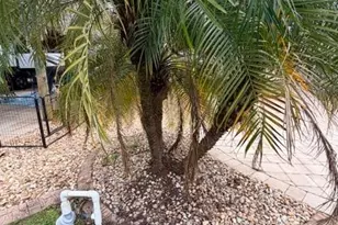 10329 Fire Flag Trail, Fort Myers, FL 33905 - Photo 11