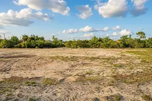 917 NE 11th Terrace, Cape Coral, FL 33909 - Photo 3