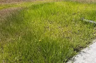 6006 Joy Ct, Labelle, FL 33935 - Photo 3