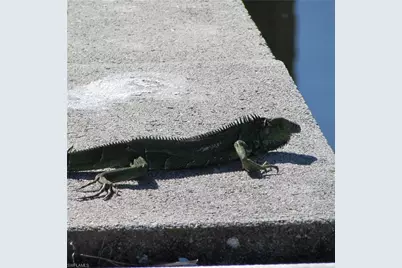 5004 Gulfgate Ln, Saint James City, FL 33956 - Photo 13