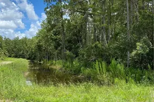 166 Ocean Park Dr, Lehigh Acres, FL 33972 - Photo 3