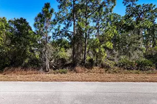 169 Duke Ave S, Lehigh Acres, FL 33974 - Photo 17