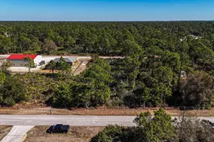 169 Duke Ave S, Lehigh Acres, FL 33974 - Photo 1