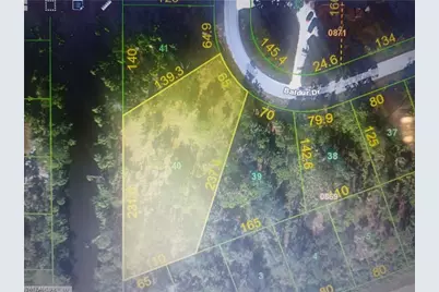 141 Baldur Dr, Port Charlotte, FL 33954 - Photo 3