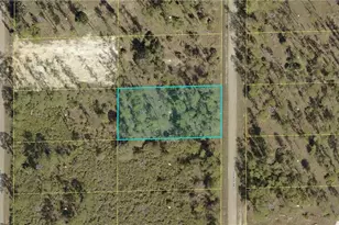 1309 Sheldon Ave, Lehigh Acres, FL 33972 - Photo 1