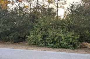 1419 Sheldon Ave, Lehigh Acres, FL 33972 - Photo 1