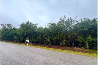3321 Amanda St, Punta Gorda, FL 33950 - Photo 3