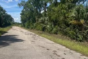 3606 50th St W, Lehigh Acres, FL 33971 - Photo 3